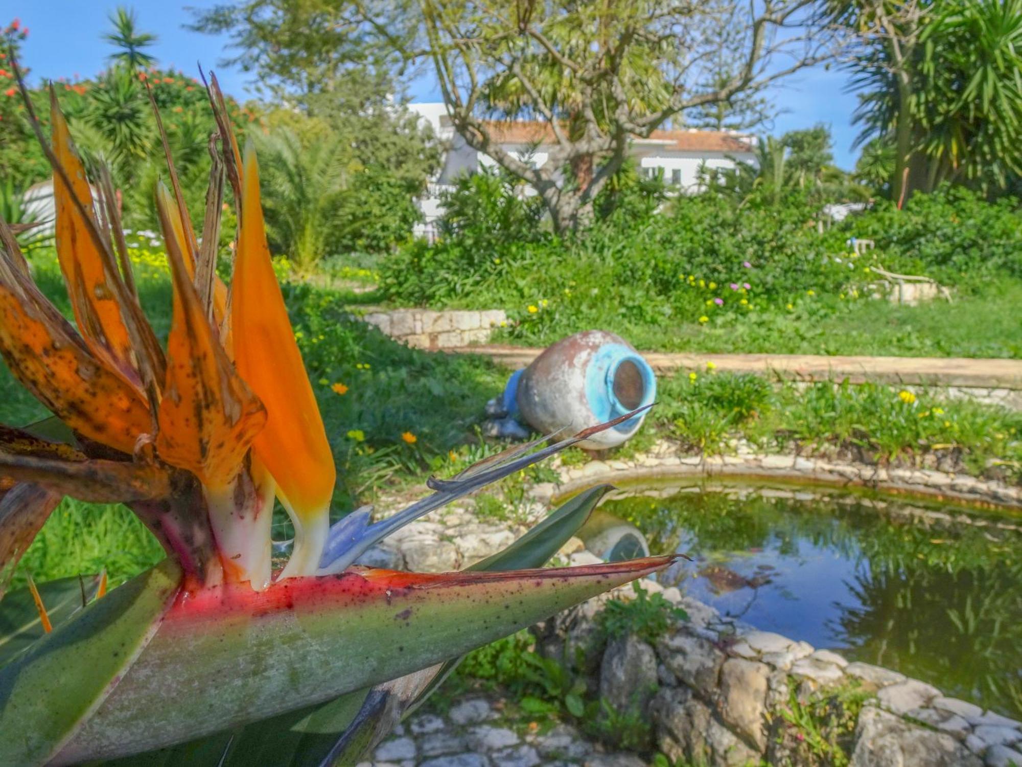 Quinta De Lagos Ngoại thất bức ảnh