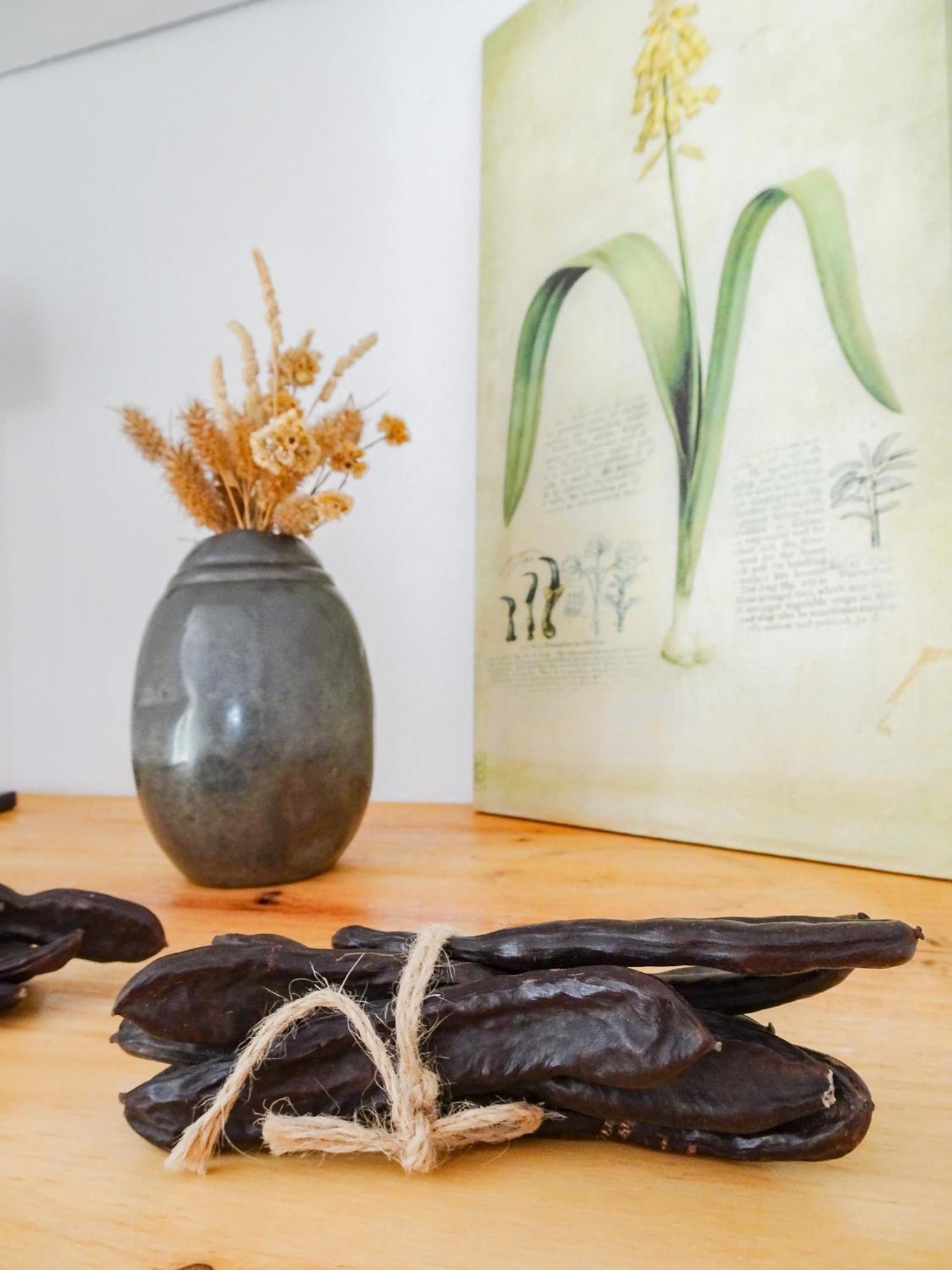 Quinta De Lagos Ngoại thất bức ảnh