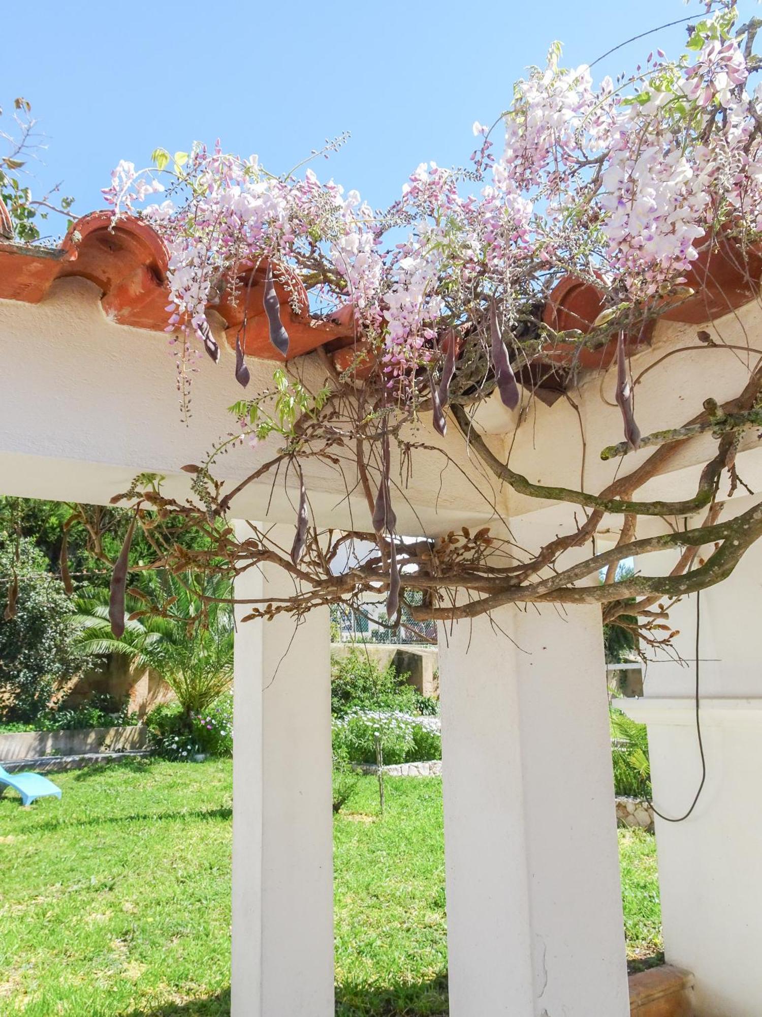 Quinta De Lagos Ngoại thất bức ảnh
